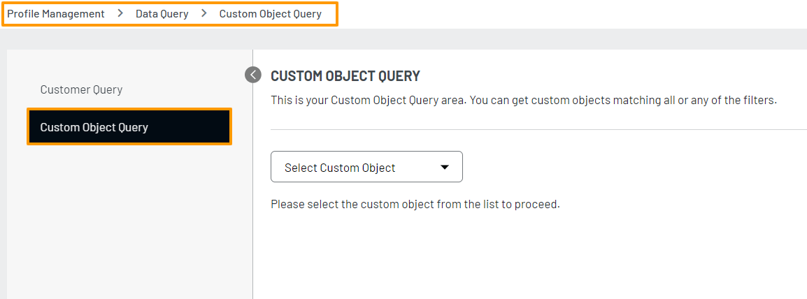 Custom object Custom object